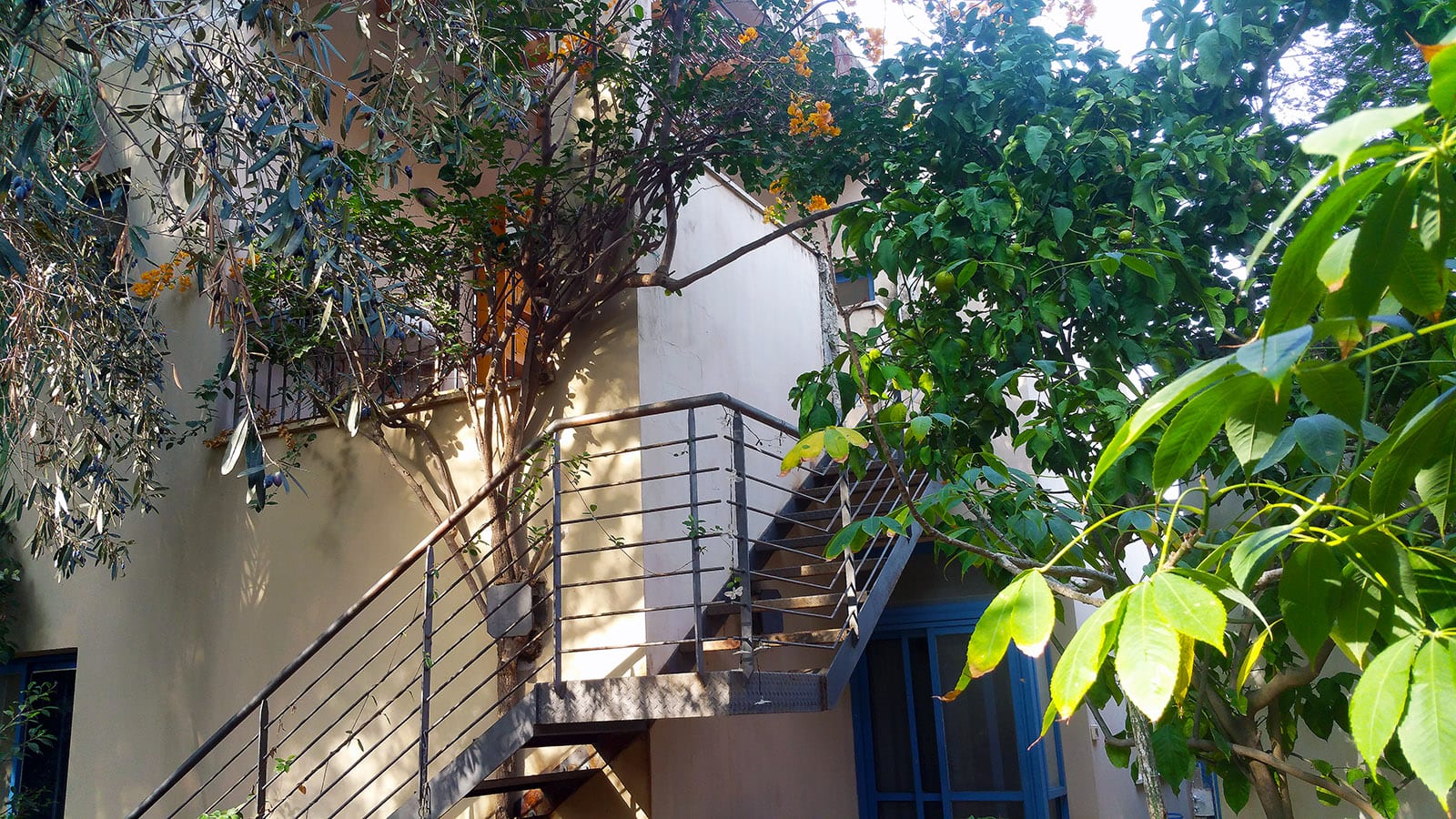 מדרגות חיצוניות בחצר לקומת המגורים היכולה לשמש יחידה נפרדת בבית למכירה בעין ורד