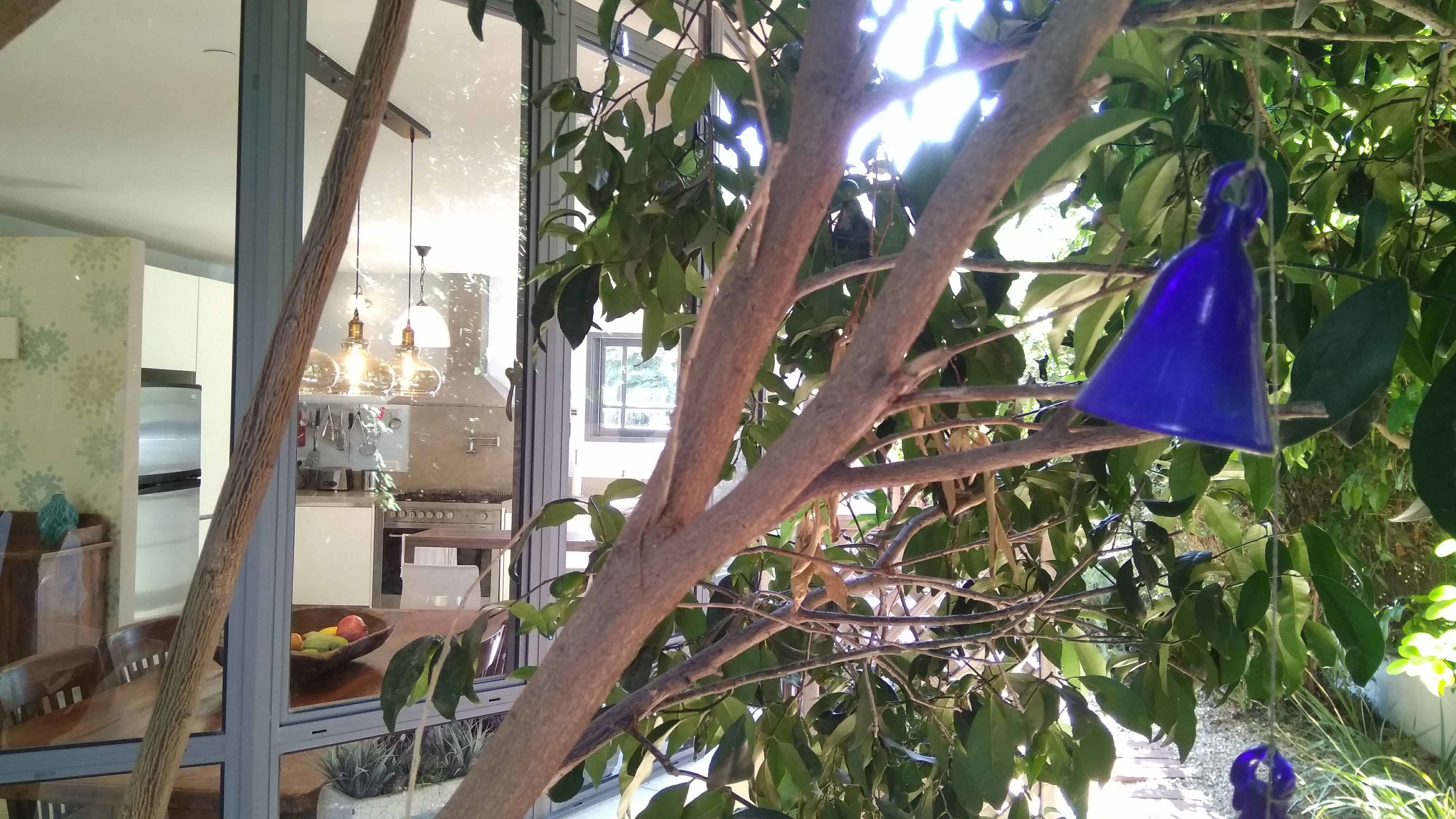 בית על חצי דונם בקדימה בכפר