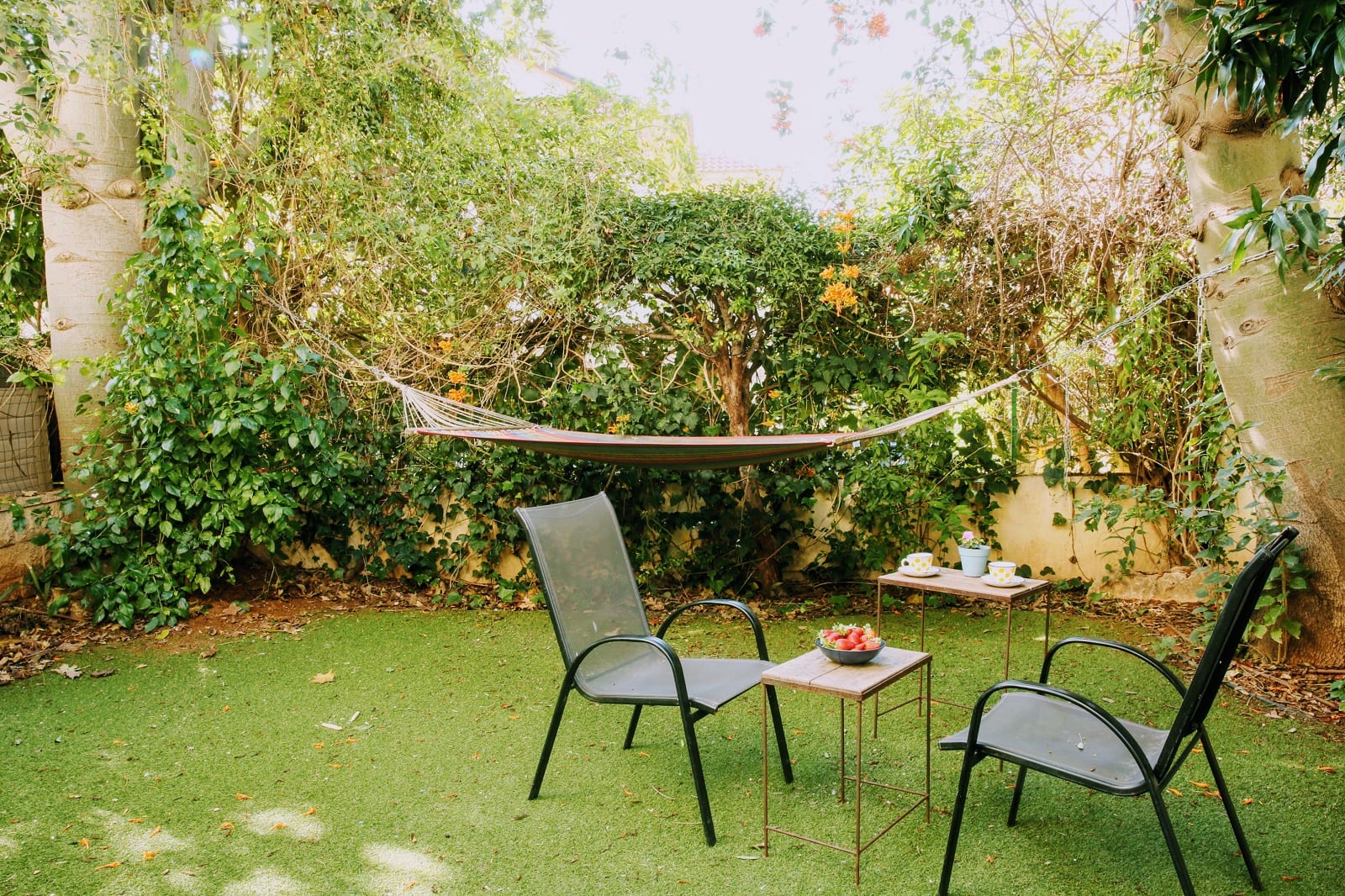 הבתים של חוה